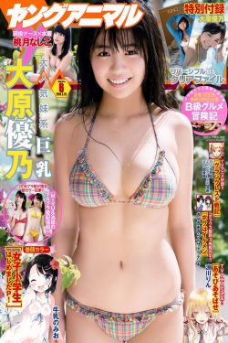 野花视频www高清