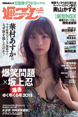 刀客家族的女人37集